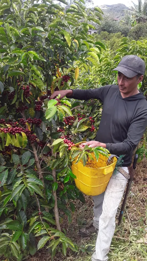 Finca LA CAÑADA