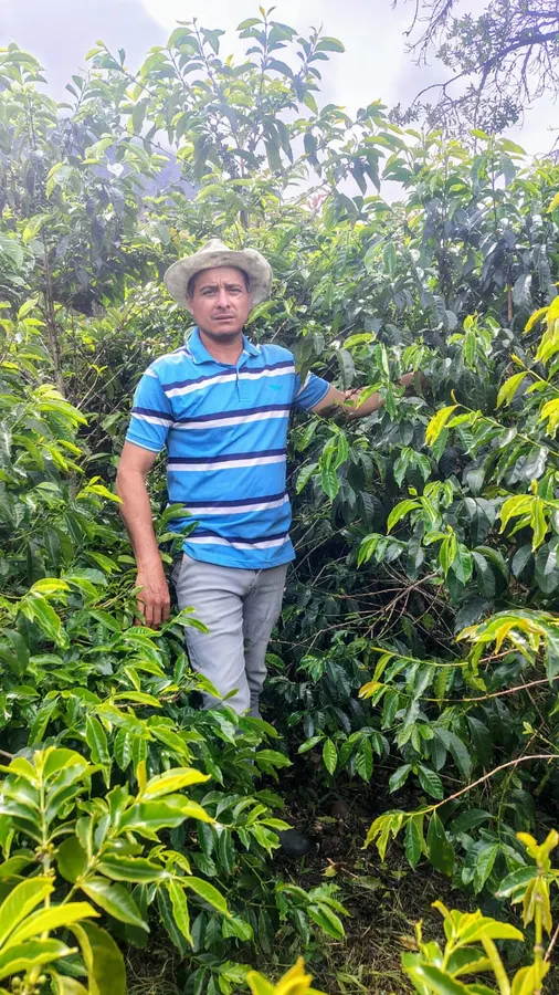 Finca LA JULIANITA