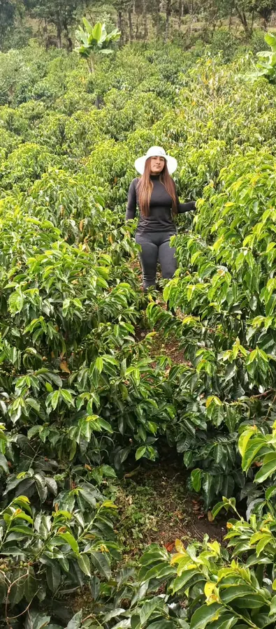 Finca EL SALADO