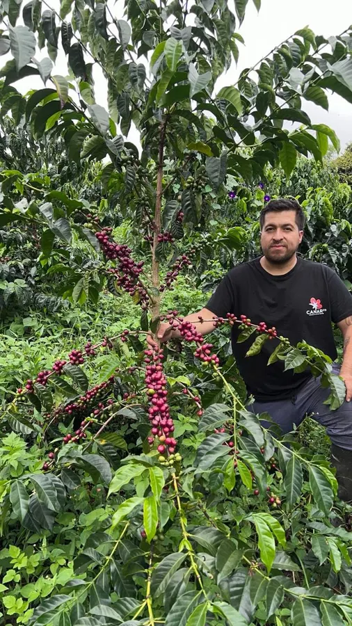 Finca LA GUADUA